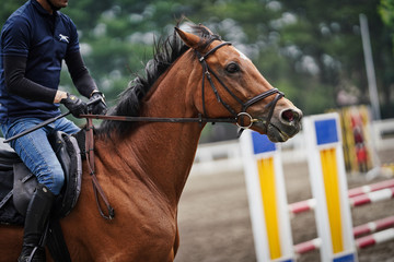 Obraz premium 馬術