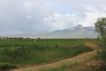 Fototapeta na wymiar Grass field against a mountain