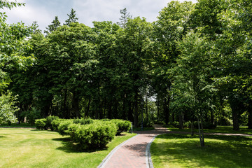 Fototapeta na wymiar sunshine on path with shadows from trees in summer park
