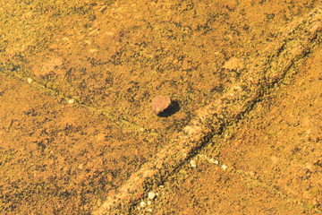 texturas