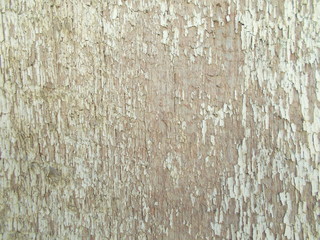  Wood texture for your design