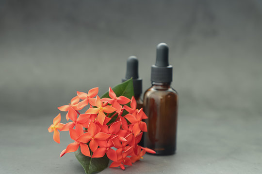 Dark cosmetic bottles, twig with pink flowers. on a gray background. Copy space. Friendly natural cosmetics concept. Minimalism. Beauty blogger, spa salon, terapy salon.