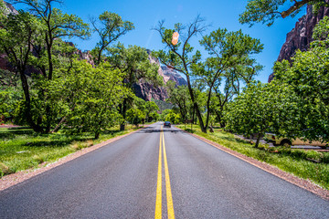 Fototapeta na wymiar Beautiful Zion National Park in Utah, USA