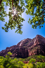 Beautiful Zion National Park in Utah, USA