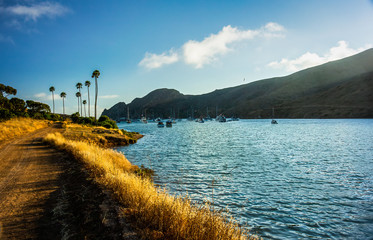 Dirt Road Alongside Two Harbors in Catalina Island