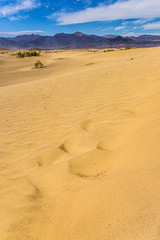 Landscape of sand dunes - The Mesquite Flat Sand Dunes in Death Valley National Park, California, USA