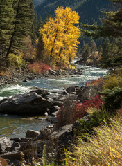 Atumnal Magnificence