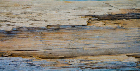 wood background