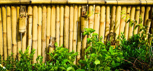 wooden fence on white background