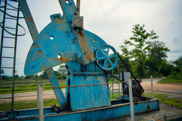 playground in the park