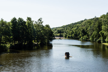 Park with lake and green trees in summertime