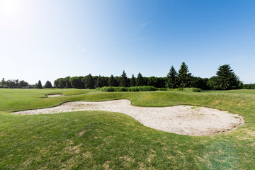 Obraz premium blue sky in green park with trees and plants in summertime