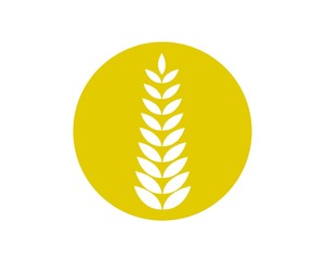 Agriculture wheat Logo Template vector icon design
