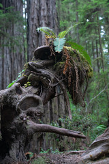 camouflaged alien predator, wow