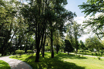 Fototapeta na wymiar path near trees on fresh grass against sky with clouds