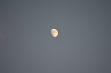 moon in the sky