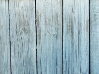 Fototapeta premium Wood texture for design