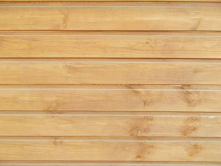 Obraz premium Wood texture for design