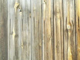  Wood texture for design