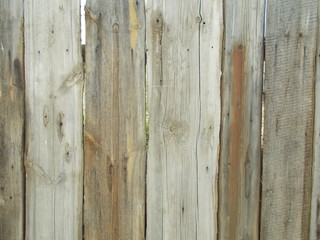  Wood texture for design