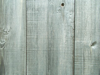 Naklejka premium Wood texture for design