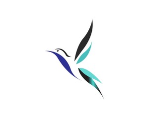 Bird Logo Template vector illustration