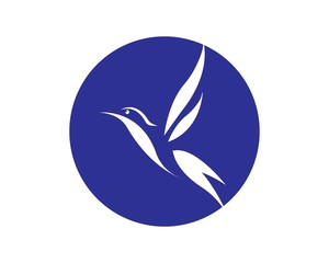 Fototapeta na wymiar Bird Logo Template vector illustration