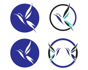 Bird Logo Template vector illustration
