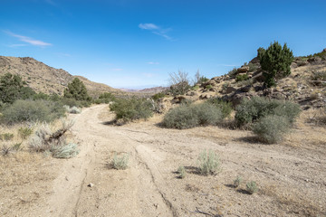 USA, Nevada, Clark County, Gold Butte National Monument. A Y intersection between two dirt roads in Jumbo Basin.