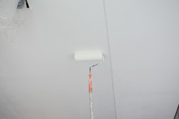 painting a white gypsum plaster ceiling with paint roller