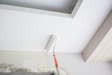 painting a white gypsum plaster ceiling with paint roller