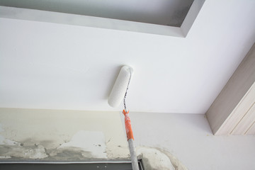 painting a white gypsum plaster ceiling with paint roller - obrazy, fototapety, plakaty