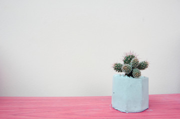 Cactus Green in cement pot on pink background. Contemporary Art gallery Style, pastel color. 