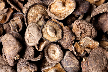 Shiitake mushrooms or lentinus edodes  foods that are healthy,  cultivated in Japan and China.