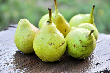 Fototapeta na wymiar Ripe pear fruit in the garden on a summer board on a summer day.