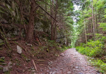 View at Mountain Trail in British Columbia, Canada. Mountains Background. DeBeck Trail.