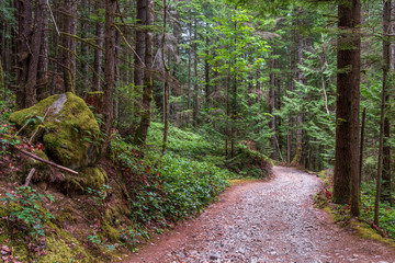 Fototapeta na wymiar View at Mountain Trail in British Columbia, Canada. Mountains Background. DeBeck Trail.