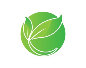 Logos of green leaf ecology nature element vector icon