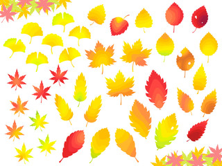 Fototapeta na wymiar 色々な紅葉した葉っぱのイラストセット