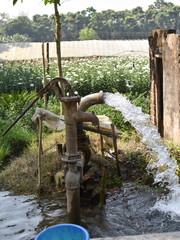 Picture of a shallow machine or a water pump that is used for water supply in the farm.