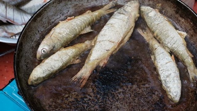 Small fish sprinkled with flour is fried in a pan in hot oil. Cooking while camping fishing. Close-up.