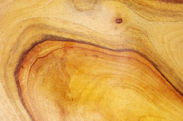 Wood texture. Cherry tree