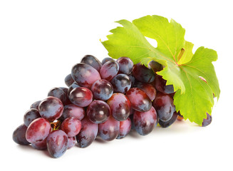 Fresh grapes vine