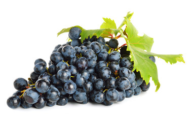 Fresh grapes vine