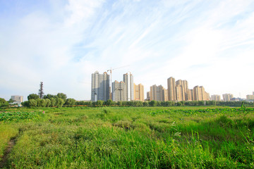 Obraz premium city building scenery