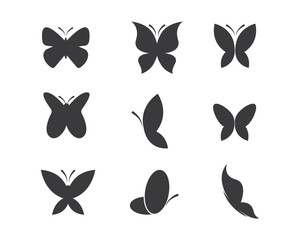 butterfly logo icon  vector template