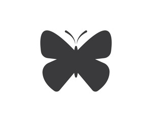 butterfly logo icon  vector template