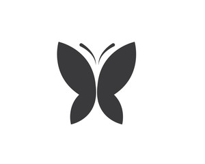 butterfly logo icon  vector template