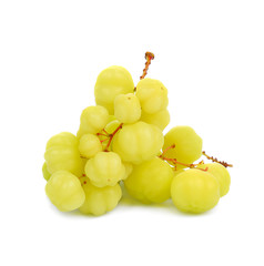 Star Gooseberry bunch (Phyllanthus acidus) fruit isolated on white background