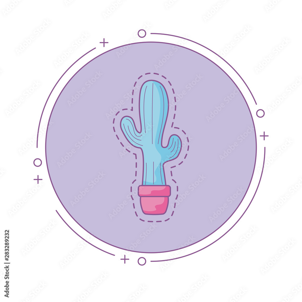 Poster patch of cactus in pot plant with frame circular